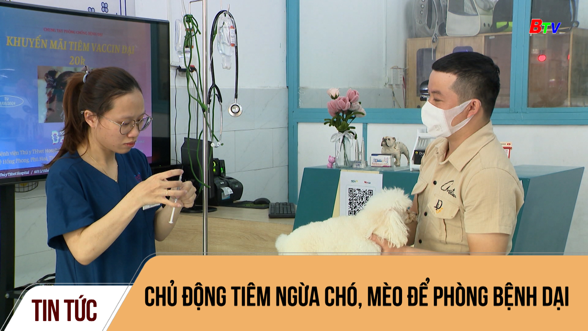 Chủ động tiêm ngừa chó, mèo để phòng bệnh dại